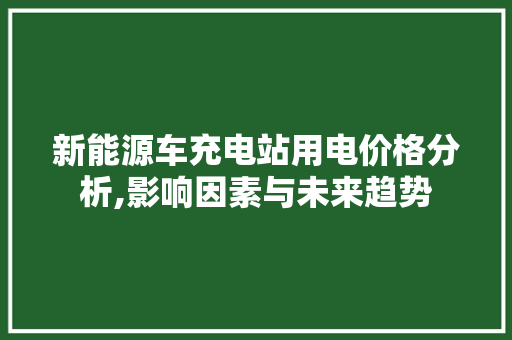 新能源车充电站用电价格分析,影响因素与未来趋势