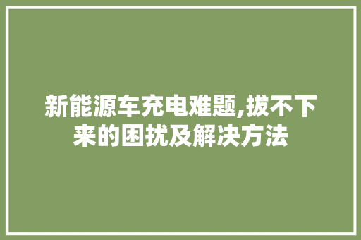 新能源车充电难题,拔不下来的困扰及解决方法