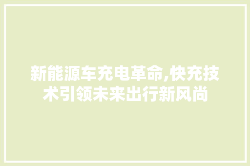 新能源车充电革命,快充技术引领未来出行新风尚