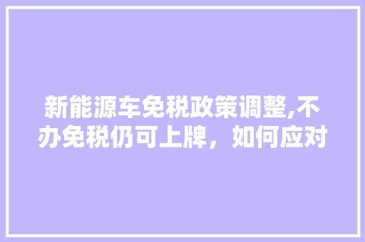 新能源车免税政策调整,不办免税仍可上牌，如何应对新形势