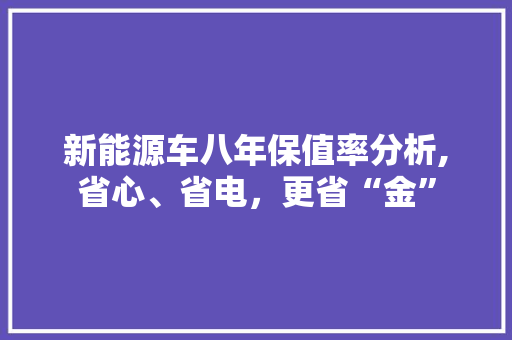 新能源车八年保值率分析,省心、省电，更省“金”