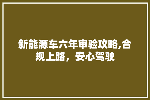 新能源车六年审验攻略,合规上路，安心驾驶