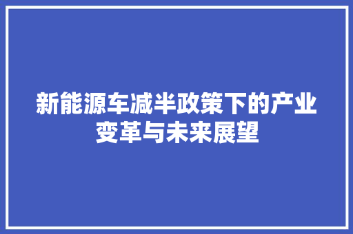 新能源车减半政策下的产业变革与未来展望