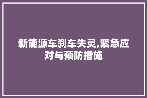 新能源车刹车失灵,紧急应对与预防措施