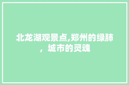 北龙湖观景点,郑州的绿肺，城市的灵魂