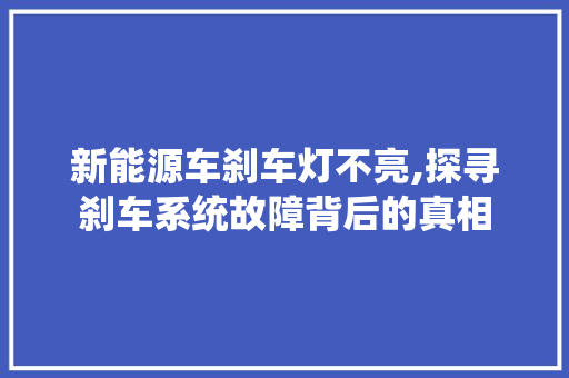 新能源车刹车灯不亮,探寻刹车系统故障背后的真相