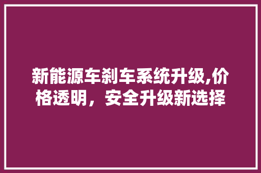 新能源车刹车系统升级,价格透明，安全升级新选择