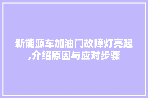 新能源车加油门故障灯亮起,介绍原因与应对步骤