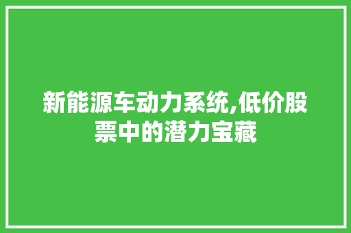 新能源车动力系统,低价股票中的潜力宝藏