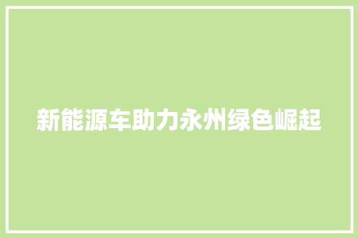 新能源车助力永州绿色崛起