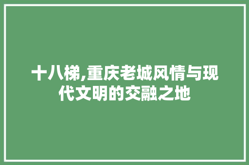 十八梯,重庆老城风情与现代文明的交融之地