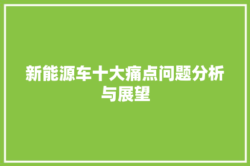 新能源车十大痛点问题分析与展望