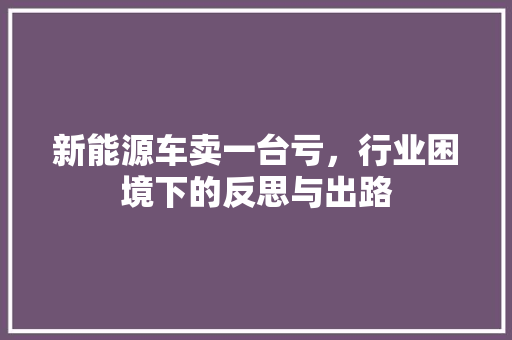 新能源车卖一台亏，行业困境下的反思与出路