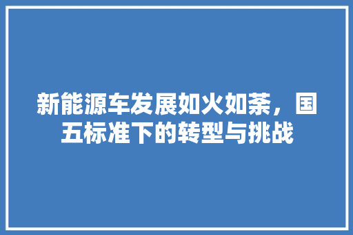 新能源车发展如火如荼，国五标准下的转型与挑战  第1张