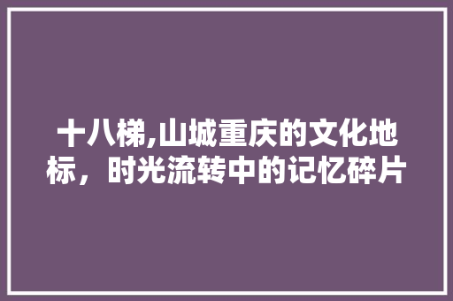 十八梯,山城重庆的文化地标，时光流转中的记忆碎片