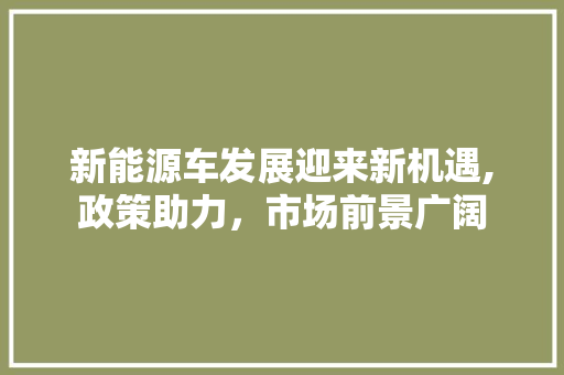 新能源车发展迎来新机遇,政策助力，市场前景广阔