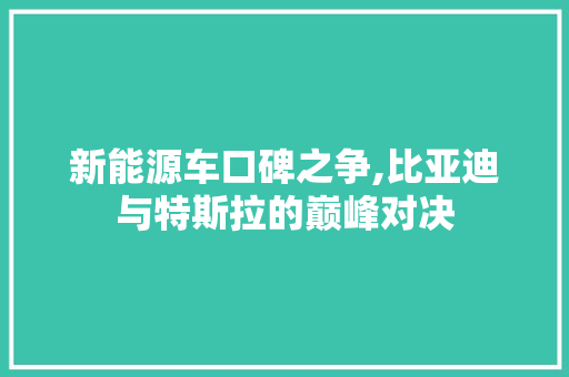 新能源车口碑之争,比亚迪与特斯拉的巅峰对决