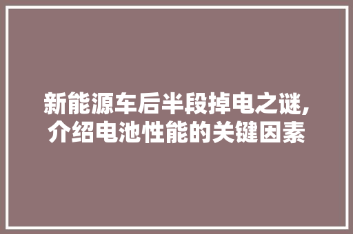 新能源车后半段掉电之谜,介绍电池性能的关键因素