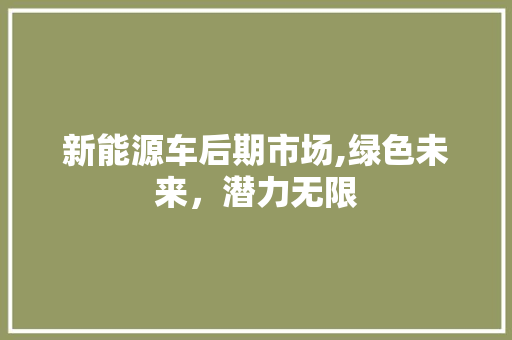 新能源车后期市场,绿色未来，潜力无限