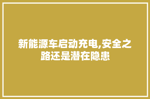 新能源车启动充电,安全之路还是潜在隐患