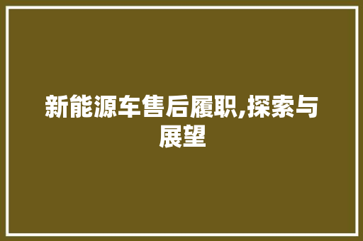 新能源车售后履职,探索与展望