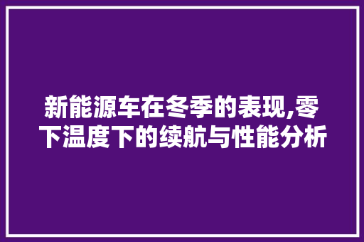 新能源车在冬季的表现,零下温度下的续航与性能分析  第1张