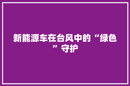 新能源车在台风中的“绿色”守护