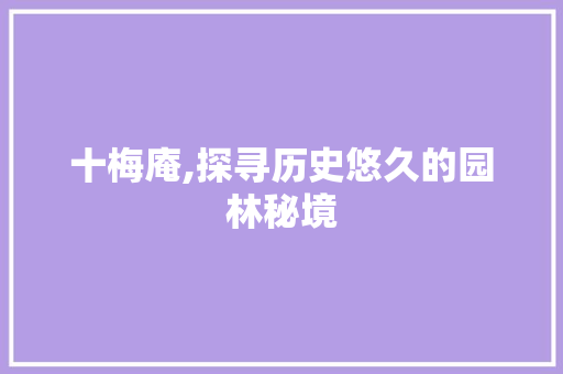 十梅庵,探寻历史悠久的园林秘境