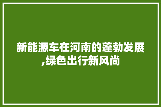 新能源车在河南的蓬勃发展,绿色出行新风尚