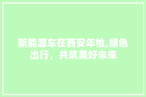 新能源车在西安年检,绿色出行，共筑美好未来