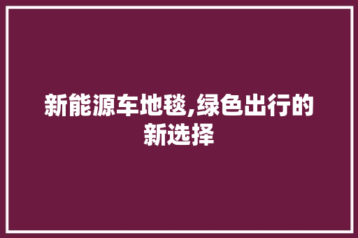 新能源车地毯,绿色出行的新选择