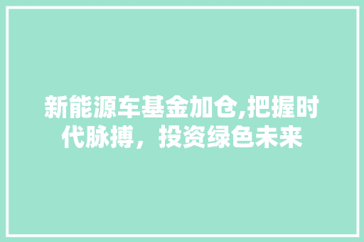 新能源车基金加仓,把握时代脉搏，投资绿色未来