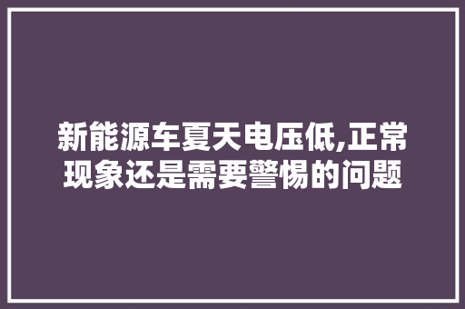 新能源车夏天电压低,正常现象还是需要警惕的问题