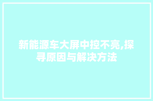 新能源车大屏中控不亮,探寻原因与解决方法