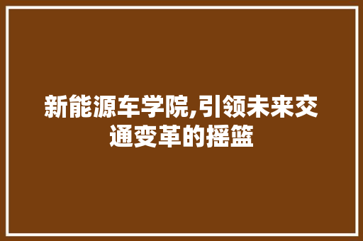 新能源车学院,引领未来交通变革的摇篮