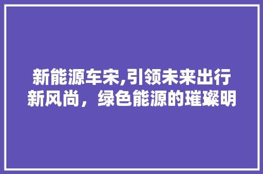 新能源车宋,引领未来出行新风尚，绿色能源的璀璨明珠