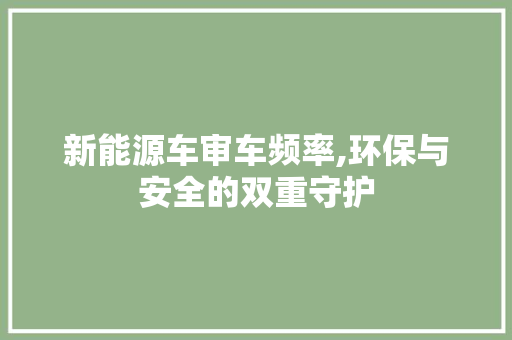 新能源车审车频率,环保与安全的双重守护