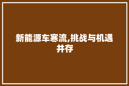 新能源车寒流,挑战与机遇并存