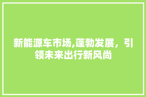 新能源车市场,蓬勃发展，引领未来出行新风尚