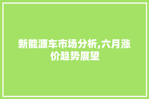 新能源车市场分析,六月涨价趋势展望