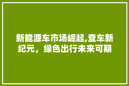 新能源车市场崛起,查车新纪元，绿色出行未来可期