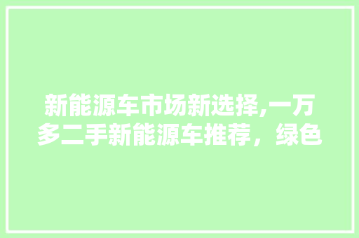 新能源车市场新选择,一万多二手新能源车推荐，绿色出行新潮流