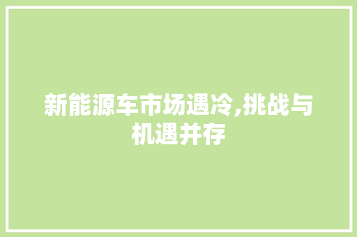 新能源车市场遇冷,挑战与机遇并存