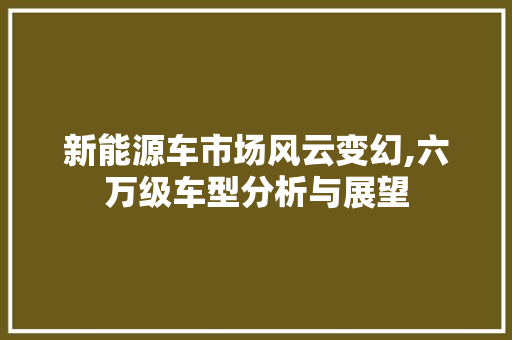 新能源车市场风云变幻,六万级车型分析与展望