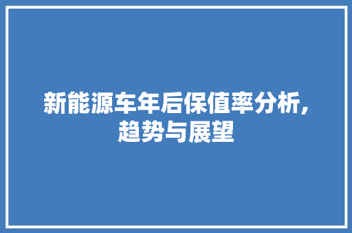 新能源车年后保值率分析,趋势与展望