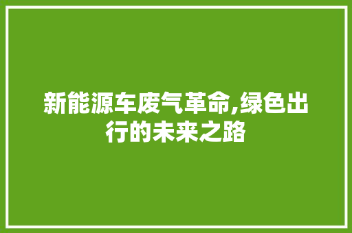 新能源车废气革命,绿色出行的未来之路