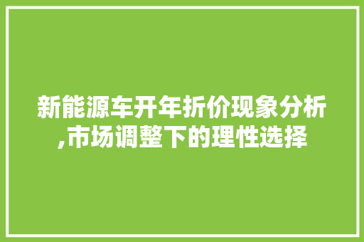 新能源车开年折价现象分析,市场调整下的理性选择