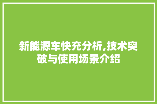 新能源车快充分析,技术突破与使用场景介绍