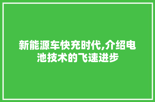 新能源车快充时代,介绍电池技术的飞速进步