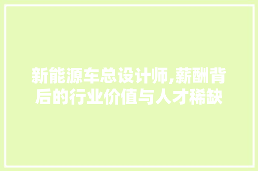 新能源车总设计师,薪酬背后的行业价值与人才稀缺